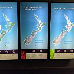 NZ forest cover over human settlement