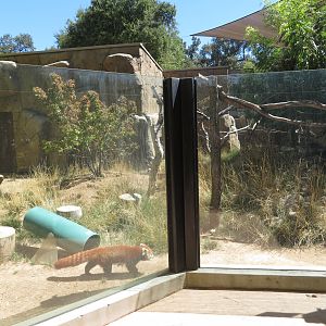 Red Panda/Muntjac Exhibit