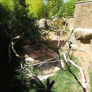 Red Panda/Muntjac Exhibit