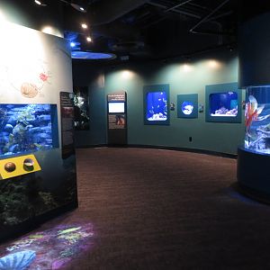 Southern California Gallery