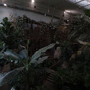 Exotenhaus main hall