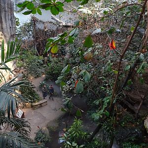 Exotenhaus main hall