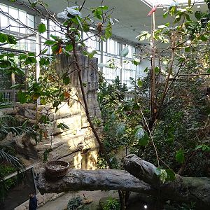 Exotenhaus main hall