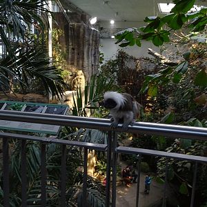 Exotenhaus main hall