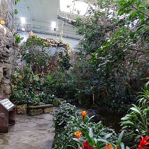 Exotenhaus main hall