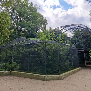 Bird aviaries