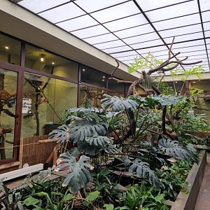 Inside small monkey building