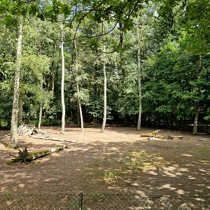 Bawean deer enclosure