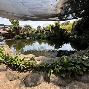Fish Pond - petting zoo