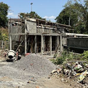 Construction Project - near chimps/orangs