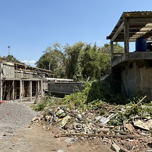 Construction Project - near chimps/orangs