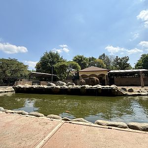 Asian Elephant Exhibit