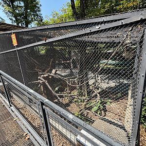 Sulawesi Crested Macaque Exhibit