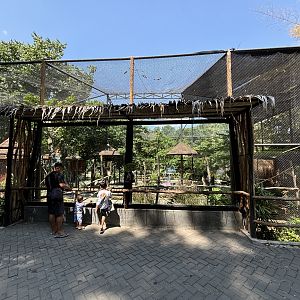 Ring-tailed Lemur/Binturong/Bird Walk-through Exhibit