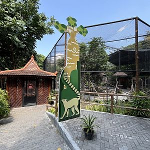 Ring-tailed Lemur/Binturong/Bird Walk-through Exhibit