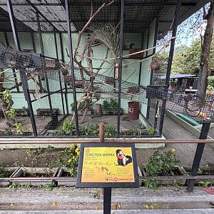 Prevost’s Squirrel Exhibit