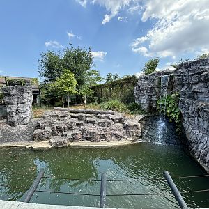 Sumatran Tiger Exhibit