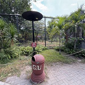 Sumatran Tiger Exhibit