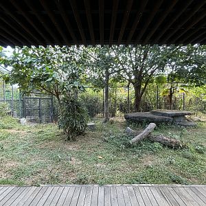 Sumatran Tiger Exhibit