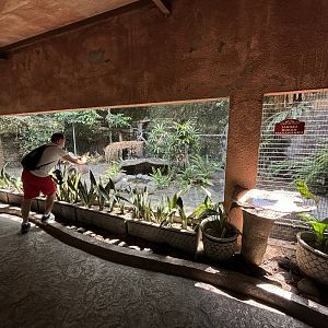Zoo Nerd + Serval Exhibit
