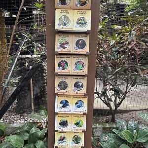 Walk-through Aviary (18 species)