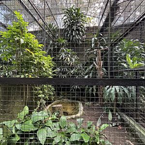 Changeable Hawk-Eagle Aviary #1