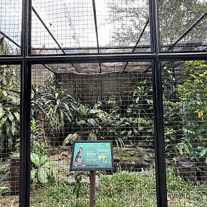 Changeable Hawk-Eagle Aviary #2