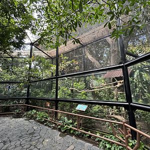 Hornbill Aviaries