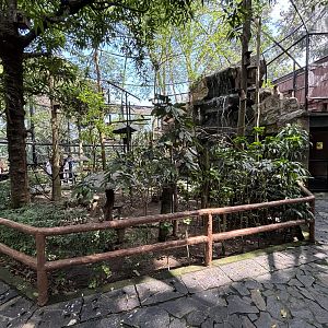 Walk-through Aviary