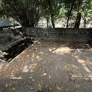 False Gharial Exhibit