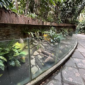 Tegu Exhibits (Red + Black-and-White)