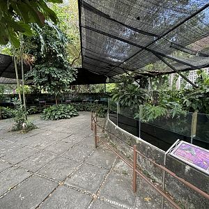 Assorted Turtle Exhibits