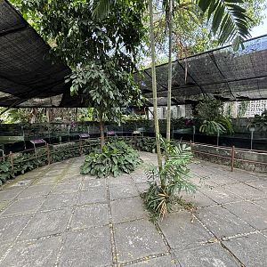 Assorted Turtle Exhibits - impressive!