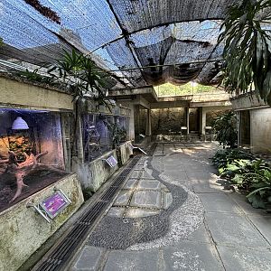 Loads of outdoor reptile exhibits at this zoo