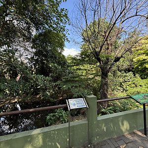Turtle Exhibit (Ex-Komodo Dragon enclosure)