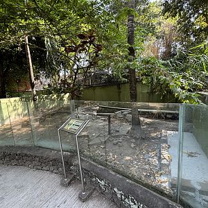 Asian Giant Tortoise Exhibit