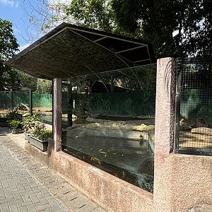 Capybara Exhibit