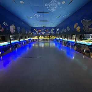 Aquarium - 20 tanks
