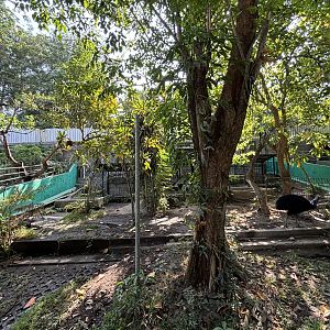 Cassowary Exhibit #1