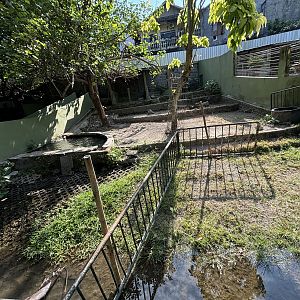 South American Tapir Exhibit
