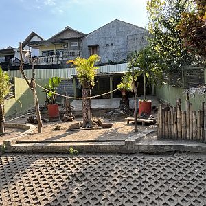 Agile Wallaby Exhibit #1