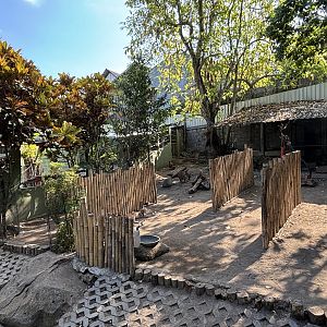 Agile Wallaby Exhibit #2