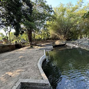Common Hippo Exhibit