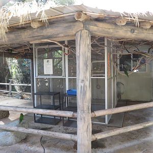 Lorikeet Shelter Area