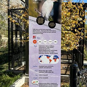 North American Prairie Aviary- New Cattle Egert sign