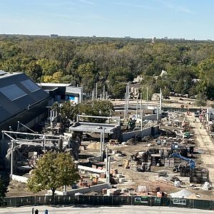 Tropical Forests construction