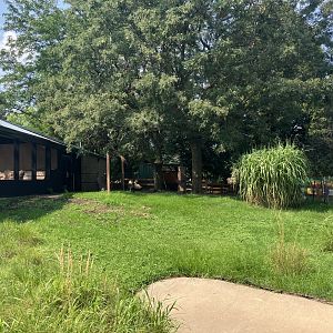 Galapagos - Outdoor Chilean Flamingo Exhibit