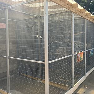 Americas - Parrot Row