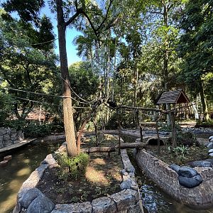 Siamang/Small-clawed Otter/Pelican Exhibit