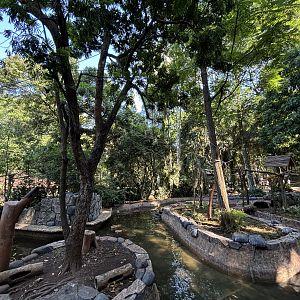 Siamang/Small-clawed Otter/Pelican Exhibit